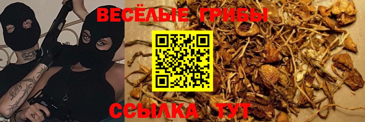 Галлюциногенные грибы Psilocybe  закладка  Благодарный  Вход с VPN 